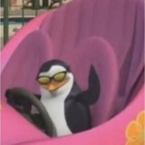 Meet your Posher, Kay